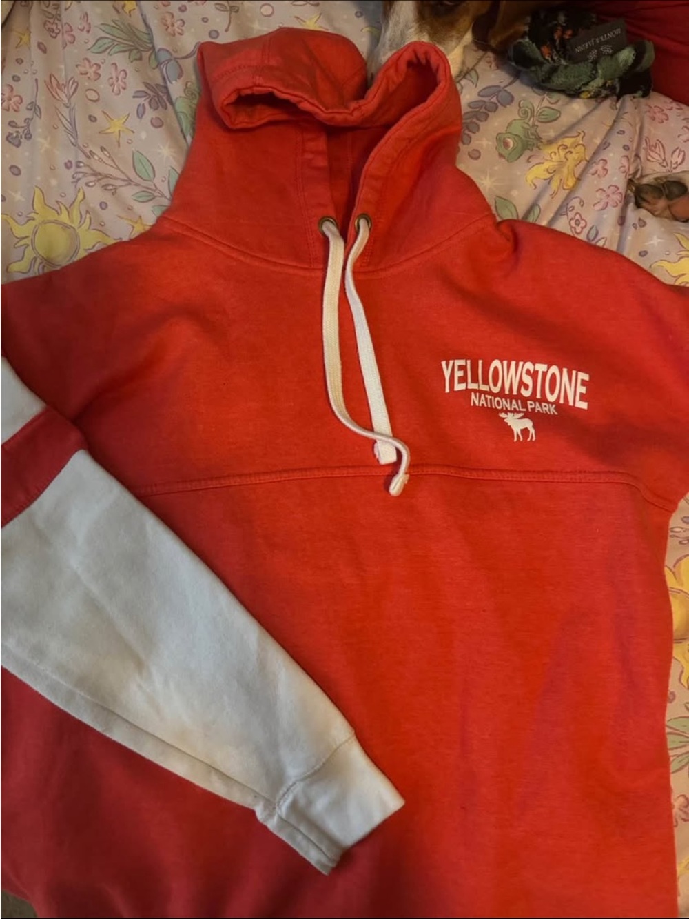Red Hooded Yellowstone Sweatshirt